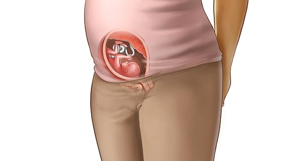 Gebeliğin 16 haftası